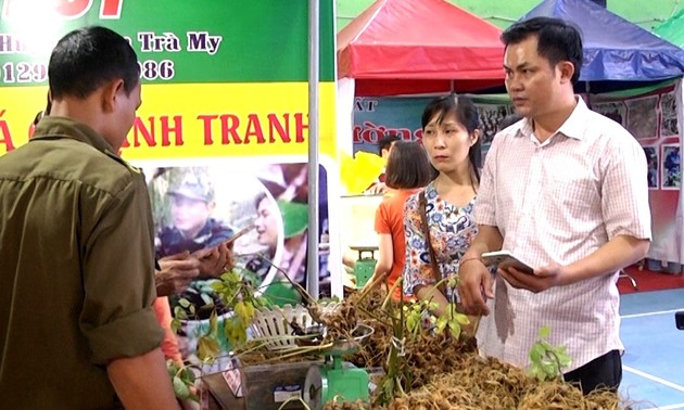 Markttag von Ginseng Ngoc Linh in der Provinz Quang Nam