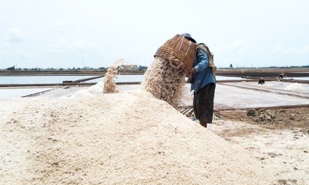 “Salzgewinnung in Bac Lieu” wird als immaterielles nationales Kulturerbe Vietnams anerkannt