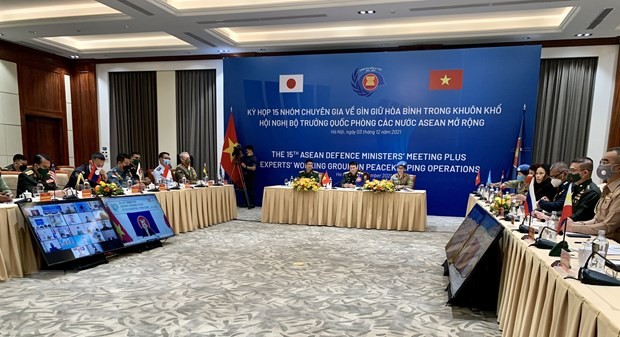 Online-Sitzung der Expertengruppe für Friedenssicherungseinsatz unter Vorsitz Vietnams und Japans