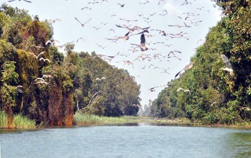 Start des Fotowettbewerbs “Erhalten und nachhaltige Nutzung von Mangrovengebieten Vietnams”