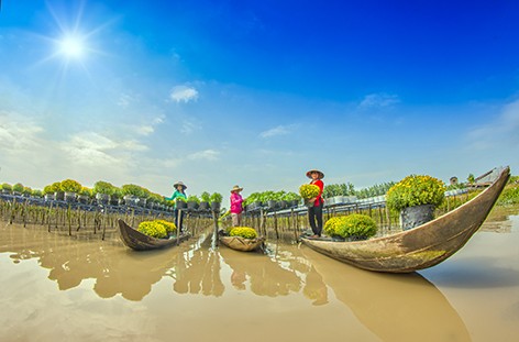 Verbesserung der Wettbewerbsfähigkeit des Mekong-Deltas