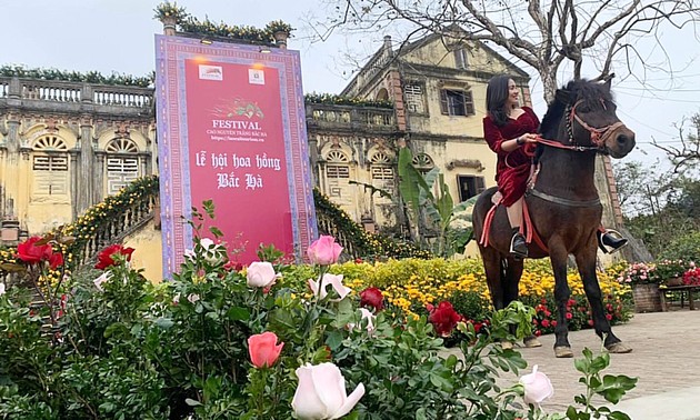 Provinz Lao Cai organisiert das Fest “Liebe und Rosen”