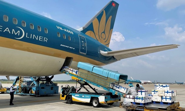 Nikkei: Trotz der Pandemie erholt sich Vietnams Transport auf dem Luftweg stark