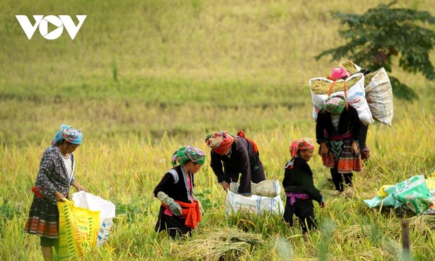 Vietnam bevorzugt Wirtschaftswachstum in Verbindung mit Sorge für ethnische Minderheiten und arme Menschen