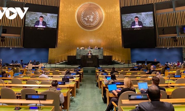 Vietnam betrachtet Reform des UN-Sicherheitsrates als dringende Frage