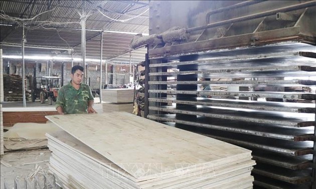 2022 exportiert Vietnam forstwirtschaftliche Produkte im Wert von fast 17 Milliarden US-Dollar