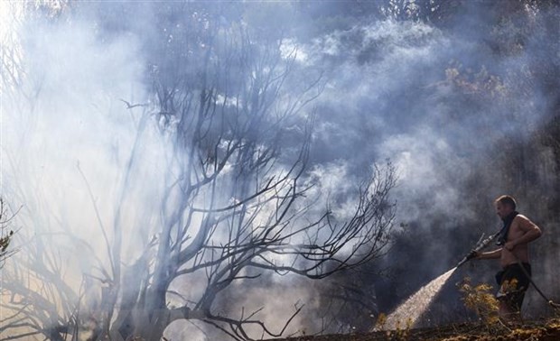EU unterstützt Griechenland bei der Brandbekämpfung