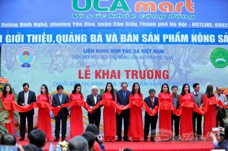 越南安全农产品与食品超市系统开业