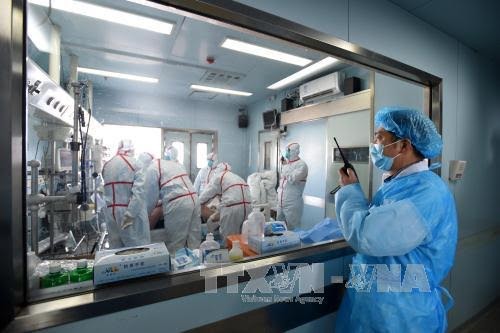中国努力防控H7N9禽流感疫情