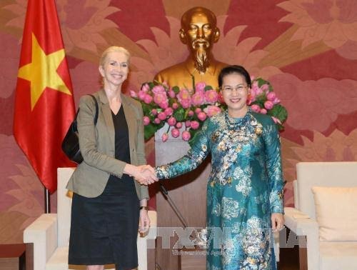 越南国会主席阮氏金银会见挪威和捷克驻越大使