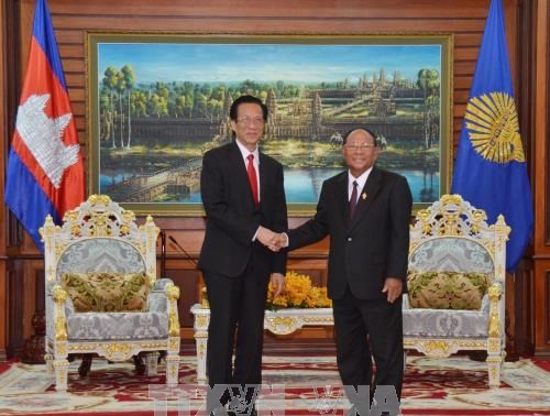 柬埔寨国会主席韩桑林：柬国会一向支持推动和发展柬越合作关系