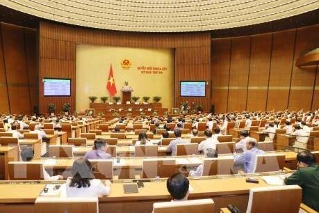 国会代表对越南第十四届国会第五次会议予以厚望