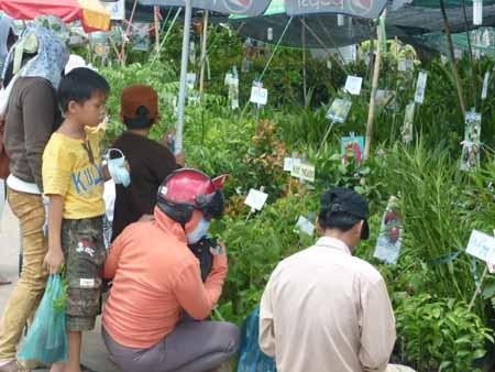 Eröffnung der Landwirtschaftsmesse in Soc Trang