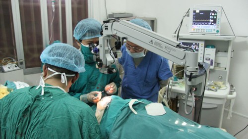 Die medizinischen Fortschritte Vietnams im Jahr 2012
