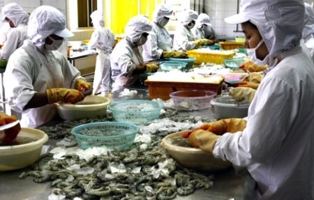 Die USA erkennen an, dass vietnamesische Garnelen nicht zu Dumpingpreisen verkauft werden 