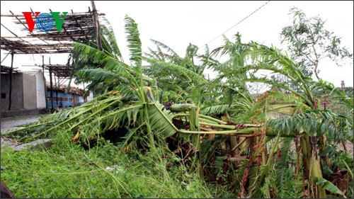 Vietnam und den Philippinen zur Beseitigung der Taifunfolgen helfen