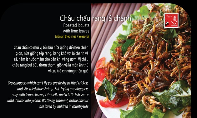 Insektenessen in Hanoi – wollen Sie probieren?