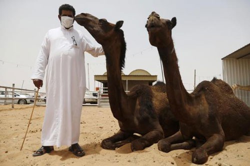 Saudi-Arabien: 173 Todesfälle an Mers-Virus