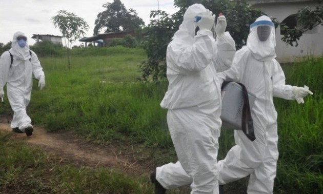 Liberia meldet zwei neue Fälle von Ebola