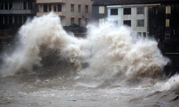 Taifun Chan-hom: China evakuiert 865.000 Personen