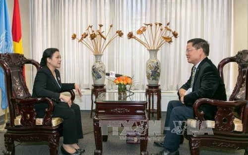 Vietnam hebt allgemeine Regeln des Völkerrechtes und der UN-Charta hervor