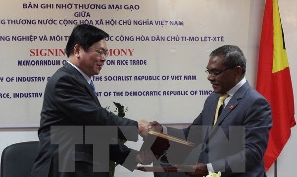 Beziehungen zwischen Vietnam und Timor-Leste entwickeln sich positiv