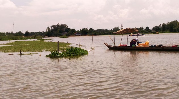Bauern im Mekong-Delta bei der Anpassung an fehlende Überschwemmungen