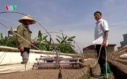 Bauern in Ho Chi Minh Stadt engagieren sich für wissenschaftlich- technologische Innovation