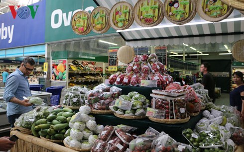 Platz für vietnamesisches Obst auf internationalem Markt schaffen