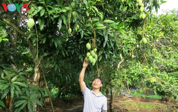 Verbesserung der Werte der Obst-Spezialitäten Vietnams