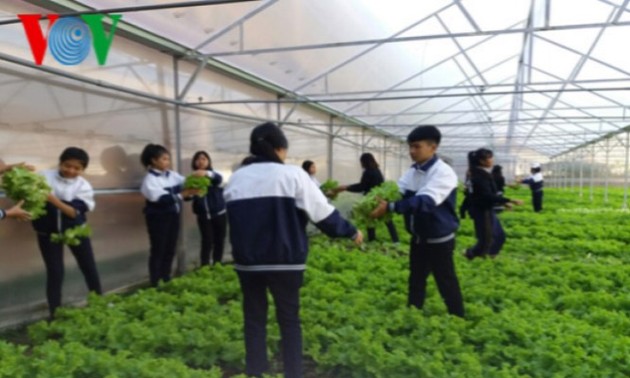 Schüler der Provinz Lam Dong betreiben Hightech-Landwirtschaft