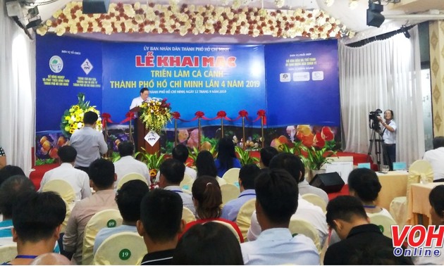 Ho-Chi-Minh-Stadt eröffnet Ausstellung von Zierfischen
