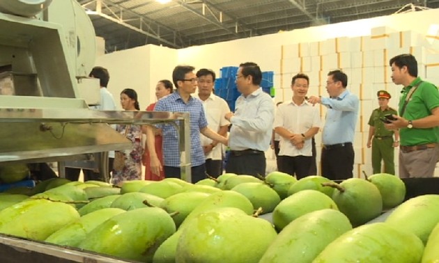 Vizepremierminister Vu Duc Dam besucht Treffpunkt für Bauern in Dong Thap
