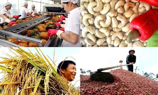 Vietnamesische Bauern beteiligen sich am globalen Spielplatz