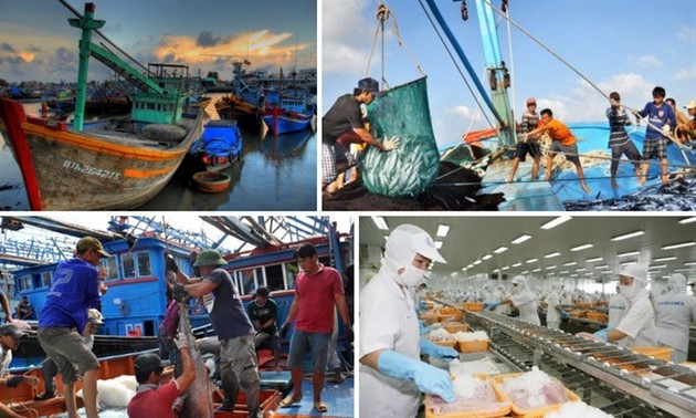 Mühe Vietnams zur Aufhebung der gelben Karte der EU-Kommission gegen IUU-Fischerei