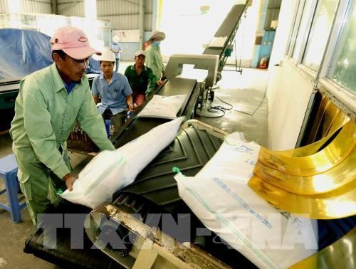 Marke von vietnamesischem Reis aufbauen