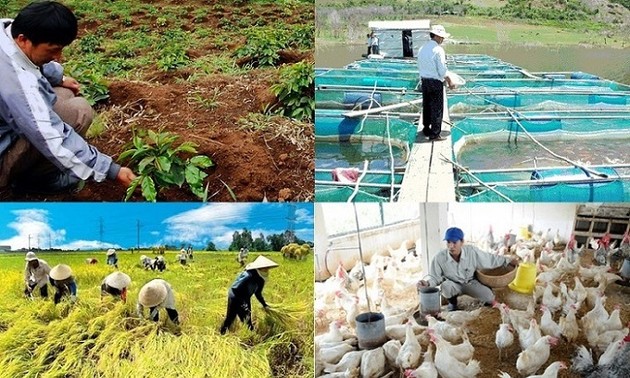 Die vietnamesische Landwirtschaft bewältigt Schwierigkeiten, um sich weiterzuentwickeln