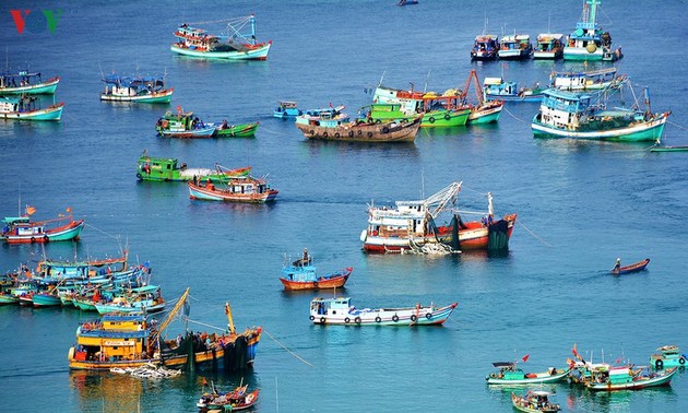 Viele Maßnahmen zur Entwicklung der Fischerei