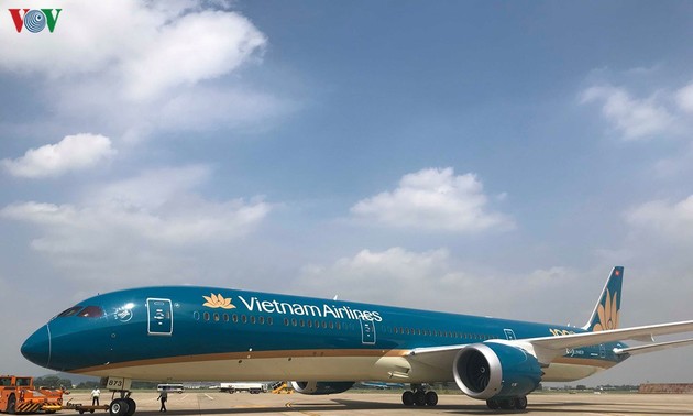 Britische Touristen in die Heimat befördern und vietnamesische Bürger in besonderen Situationen nach Vietnam holen