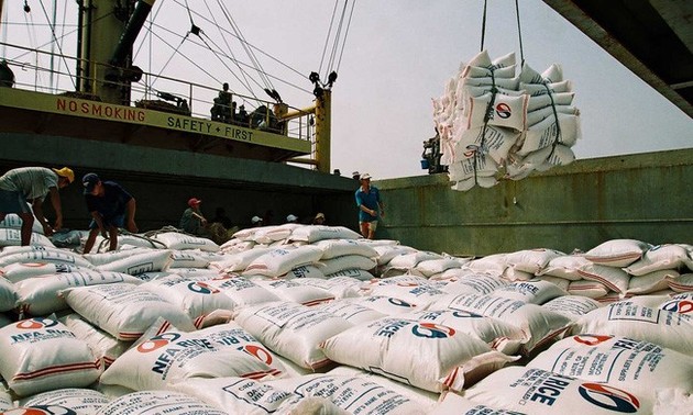 Vietnamesischer Reis wird zum ersten Mal nach Australien exportiert