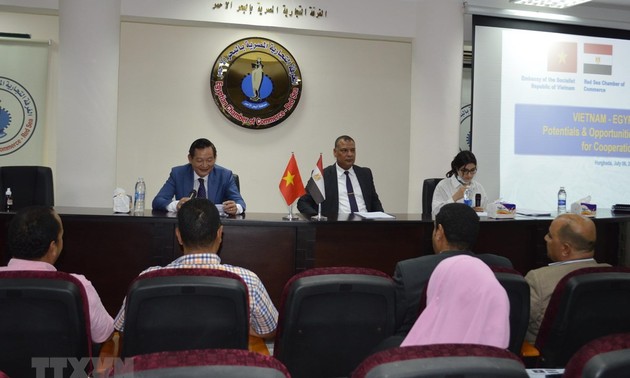 Handelskooperation zwischen Vietnam und Ägypten verstärken
