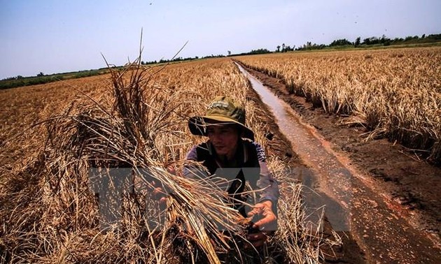 Kooperation gegen Klimawandel im Mekong-Delta verstärken