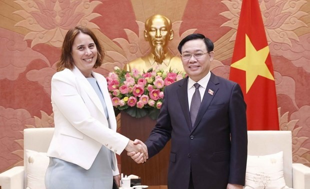Vietnam und Neuseeland wollen 2024 ein Handelsvolumen von 2 Milliarde US-Dollar erreichen