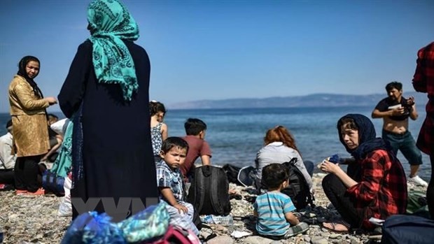 Türkei rettet mehr als 11.000 illegale Flüchtlinge im Ägäischen Meer seit Jahresanfang