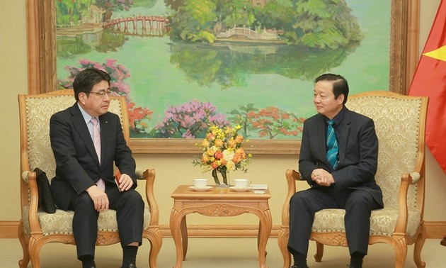 Vizepremierminister Tran Hong Ha empfängt Marubenis Exekutivdirektor Yokota