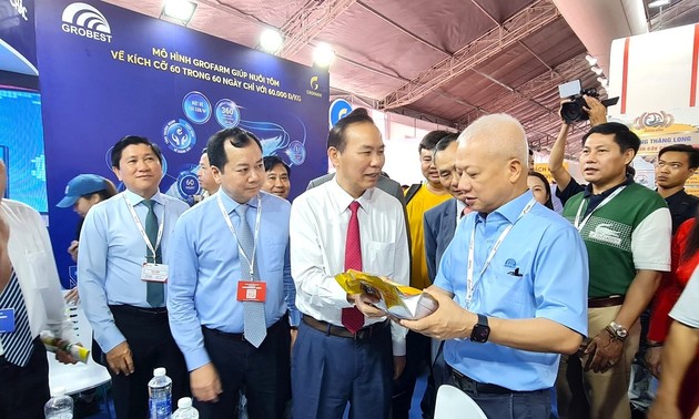Export vietnamesischer Garnelen 2024 kann um 15 Prozent steigen