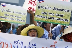 EC menyetujui permintaan tentang pembayaran subsidi beras untuk kaum petani