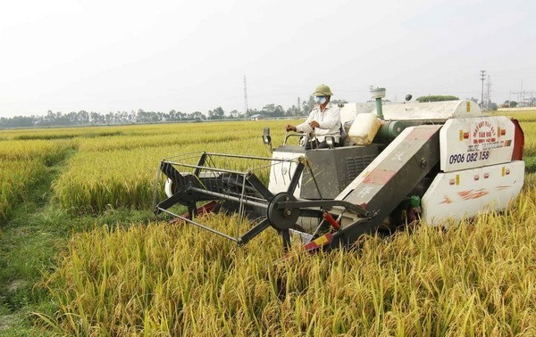 Kota Ho Chi Minh mengirim petani belajar di luar negeri untuk menarik pengalaman