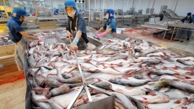 VASEP mengimbau kepada DOC supaya adil ketika mengenakan tarif anti dumping terhadap ikan patin Vietnam