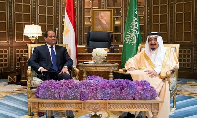 Mesir dan Arab Saudi berbahas tentang krisis di Timur Tengah